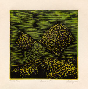 Marianne Boberg – Biotop #4