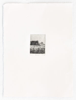 Caroline Borge – Bakom glasset
