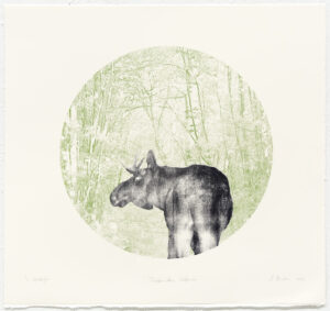 Esther Breslin – Crepuscular Confusion