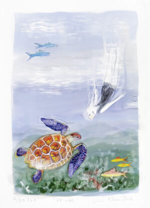 Nina Due -  Et møte