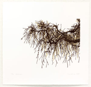 Edling Nina - Bland grenarna