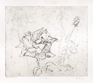 Gro Finne – Ny blomst