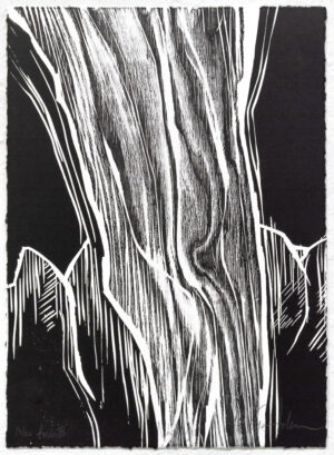 Mia Gjerdrum Helgesen – Nordlys