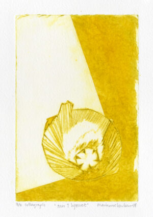 Marianne Karlsen - Inn i hjørnet