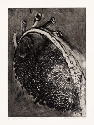 Kristina C. Karlsen – Taut