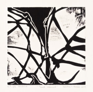 Kristina C. Karlsen – Taut Around