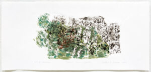 Kristina C. Karlsen – Trærnes hemmeligheter