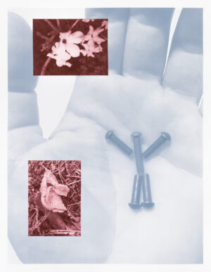 Janne Kruse – Smidighet og figuration