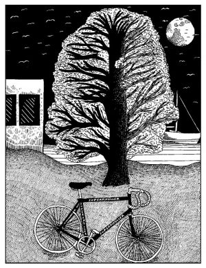 Anders Kvammen - Sykkel