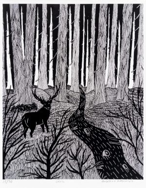 Anders Kvammen - Skog