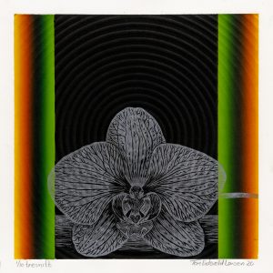 Tom Eidsvold Larsen – Uten tittel