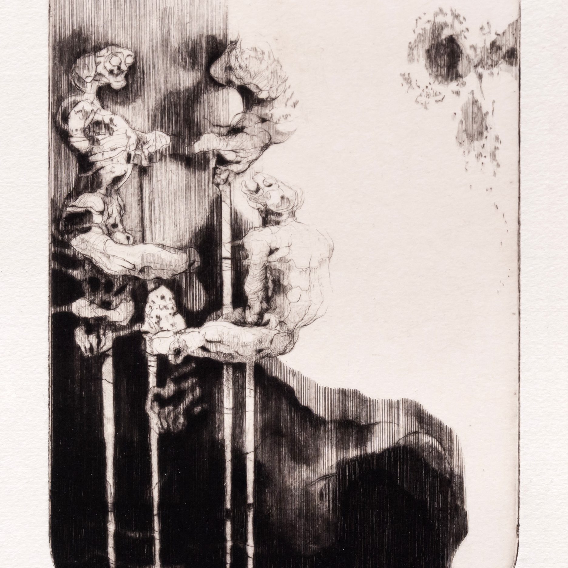 Fra utstillingen «Et decennium med koldnålsgrafikk» av Oddvar Løkse