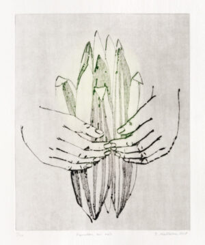 Elisabeth Mathisen – Tyngden av vår