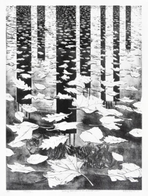 Milton Mondal – Floating dead leaves on polluted water