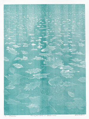 Milton Mondal – Floating dead leaves on polluted water