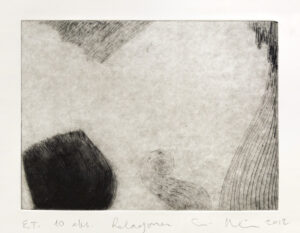 Suvi Nieminen – Reaksjoner