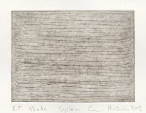 Suvi Nieminen – System