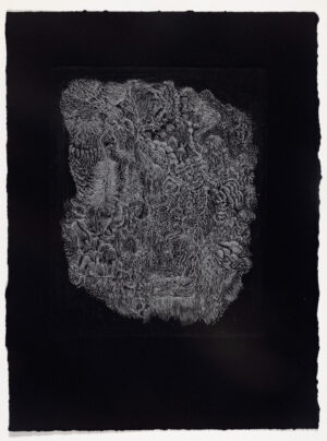 Scott O'Rourke – Monster Island 4