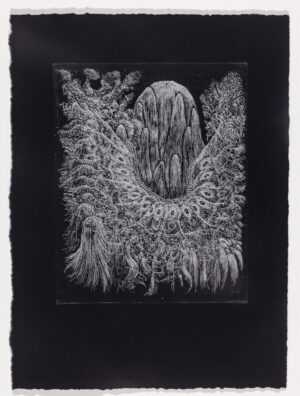 Scott O'Rourke – Monster Island 6