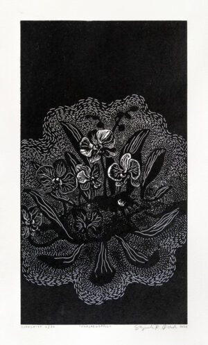 Suzannah Rehell Øistad – Phalaenopsis
