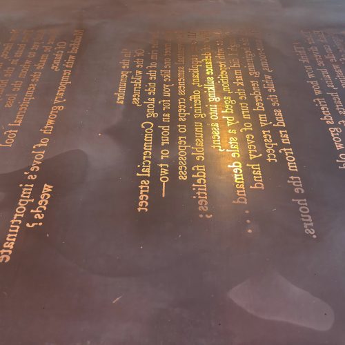 Ane Tohn Knutsen – Detalj trykkplate