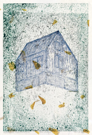 Åse Vikse – Huset på Kringsjå