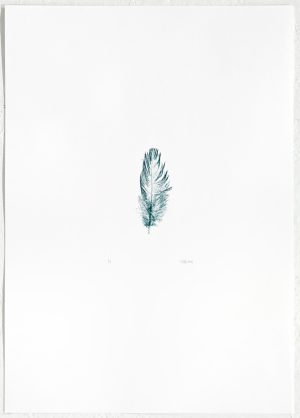 Åse Vikse – Uten tittel (fjør negativ)