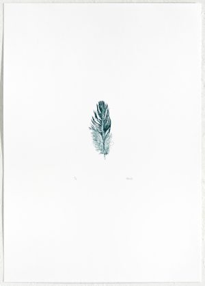 Åse Vikse – Uten tittel (fjør positiv)